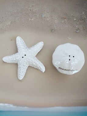 Salt & Pepper Shakers Cape Shore Starfish Sand Dollar Set Ceramic Connecticut CT